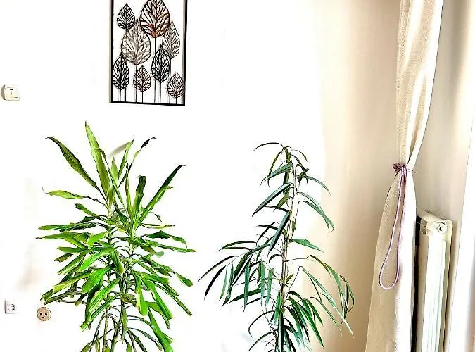 Apartment Vintage Bukarest
