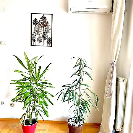 דירה Vintage בוקרשט